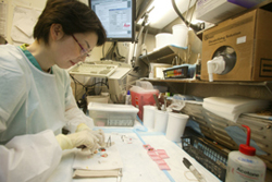 Pathology Lab